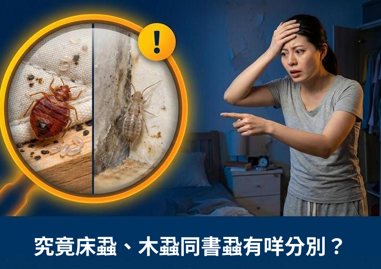 床蝨、木蝨及書蝨分別｜習性特徵、跡象及有效防治全指南